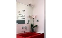 Baño encimara roja